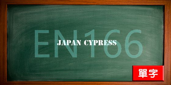 uploads/japan cypress.jpg